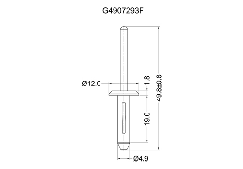 G4907293F 2D 503X350.jpg